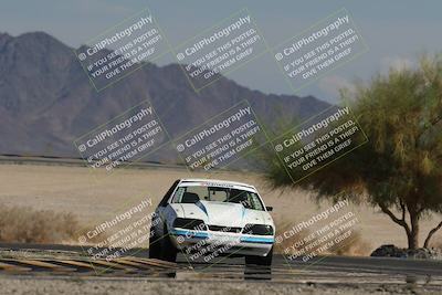 media/Oct-12-2025-Lucky Dog Racing (Sun) [[8adb5568ea]]/3-Third    Stint/4-Turn 4 (Tree of Life)/